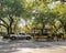 View of Monterey Square in the historic district in Savannah with horse drawn carriage in view.