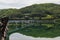 View on Moonlight Bridge, korean Woryeonggyo, and river Nakdong with pedestrians. Andong, North Gyeongsang Province. South Korea,