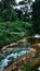 The view in the morning, the sound of the water from the river blending with the shade of the trees at Sari Ater Campervan Park