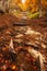 View of Morricana Falls in the forest of "Bosco della Morricana" arounded by an autumn theme in Ceppo, Abruzzo, Italy