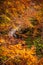 View of Morricana Falls in the forest of "Bosco della Morricana" arounded by an autumn theme in Ceppo, Abruzzo, Italy