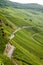 View on Moselle vineyards in Germany Piesport