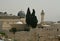 View of the Mosque Al Aqsa and old city of Jerusalem