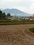 The view of Mount Gede Pangrango is taken from the Gunung Quail sub-district, Sukabumi City