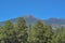 The view of Mount Humphreys and its Agassiz Peak. One of the San Francisco Peaks in the Arizona Pine Forest. Near Flagstaff, Cocon