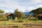 View at Mount Kilimanjaro from Campsite