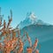 View of Mount Machapuchare from Nepali meaning Fishtail Mountain, Himalaya, Nepal.