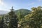 View of Mount Mashuk and the Lermontov Gallery from the trees