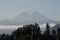 View of the Mount Rainier from valley in washington usa