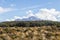 View of Mount Ruapehu