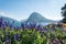 View of mount St. Salvatore and lake of Lugano from Park Ciani