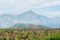 View of Mount Tahtali Lycian Olympus in Turkey, landscape of mediterranean maquis shrubland on a foreground