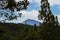 View of Mount Teide through a forest during a cloudy day