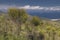 View from the mountain Cima del Monte near Rio nell Elba, Elba, Tuscany, Italy