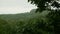 View of mountain forest trees and dramatic heavy blue sky. Green wood forest with clouds scenery