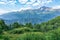 View of the mountain meadow with trees, grass and footpath and high mountains with snow-capped peaks in the distance