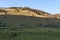 View of a mountain pasture with traditional bowls of hay for the winter near the village of Vasiliovo