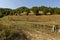 View of a mountain pasture with traditional hayrick for the winter, forest and a vegetable garden near the village