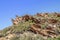 View of a Mountain range with large red rocky outcrops covered with lush green vegetation, Montagu Springs