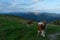 View from the mountain shelter called Rotwandhaus with cows