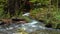 View of mountain stream flow through the colorful forest of autumn season