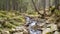 A view of a mountain stream that flows down a slope of stones