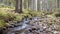 A view of a mountain stream that flows down a slope of stones