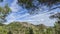 A view of mountain  trees  sky and clouds