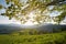 View at the mountain village, pasture and wooden house through fresh green leaves of the maple tree and rays of the sun