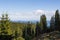 View of the mountains in Bulgaria with the tops of tall fir trees.