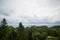 View of the mountains in Bulgaria with the tops of tall fir trees.