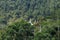 The view of the mountains of Dieng with a building in a mosque in the village