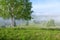 View of mountains in fog from lush green pasture with birch trees. Carpathians