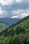 View with mountains forested -  Postavarul Massif  -  Brasov, Romania
