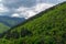 View with mountains forested -  Postavarul Massif  -  Brasov, Romania