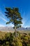 A view of mountains and fynbos in Slanghoek Valley in the Western Cape