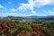 A view of the mountains, green foliage and blue sky at the natural park of Guatavita, located in the Cordillera Oriental of the