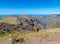 View of the mountains of Madeira yellow flowers in the foreground