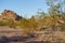 View Of The Mountains At Papago Park In Phoenix, Arizona