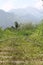 View of mountains from a railway line at Badulla.