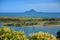 View of Moutohora Island in the distant from Puketapu Lookout at Whakatane town in New Zealand