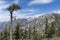 View of Mt Baldy Summit in Los Angeles County California