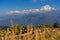 View of Mt. Dhaulagiri 8,172m. at Sunrise from Poon Hill, Nepal.