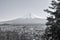 View of Mt.Fuji-Cityscape-Black and White