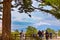 View of Mt. Iwaki with Full bloom Sakura - Cherry Blossom at Hirosaki park, Japan