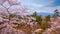 View of Mt. Iwaki with Full bloom Sakura - Cherry Blossom at Hirosaki park, Japan