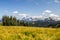 View of Mt Shuksan over alpine meadows of Skyline Divide