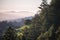 View from Mt. Tamalpais at sunset