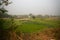 View of multi-coloured marigold and others flowers of khirai, West bengal, India