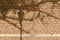 View of a multi hued reddish brown vintage brick wall texture with tree shadows